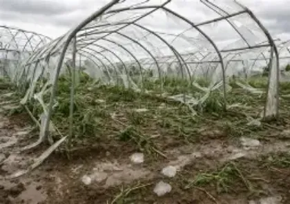 IMPRESE AGRICOLE  - SEGNALAZIONE DANNI PER AVVERSITA' ATMOSFERICHE 
