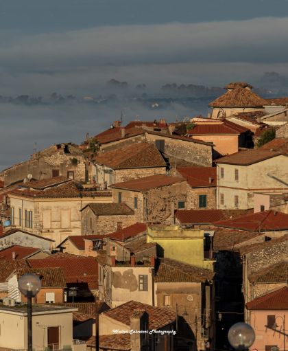 ELENCO BENEFICIARI CANONI DI LOCAZIONE ANNUALITA' 2024