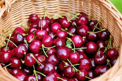 AVVISO A MANIFESTAZIONE DI INTERESSE. Evento “IL CIBO NELLA TERRA DEL MITO – Rosso Visciola”